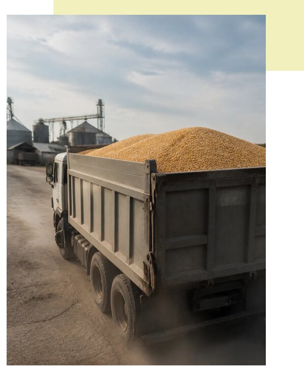 Перевозка сельхозпродукции навалом в Пыть-Ях по цене от 3052 р. | Агросервис-Пть